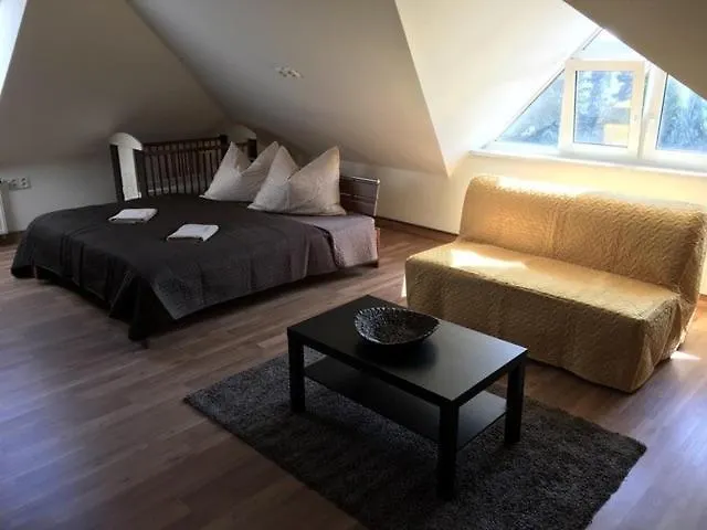 Roci Guest house 3*